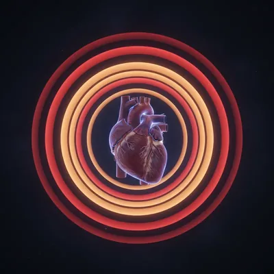 Возраст сердца QRISK